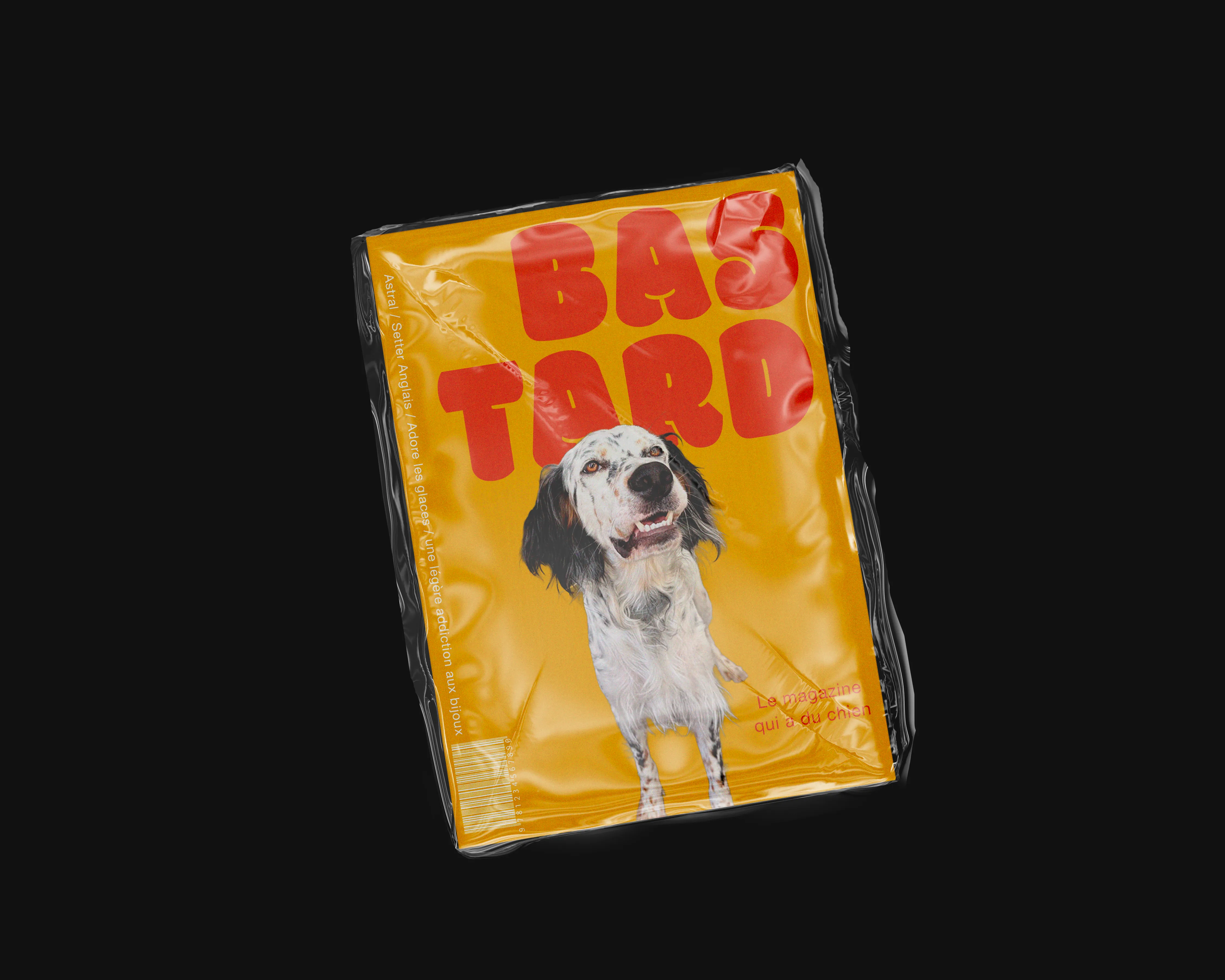 Bastard couverture 2
